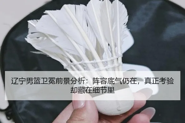 辽宁男篮卫冕前景分析：阵容底气仍在，真正考验却藏在细节里