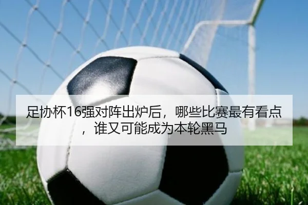 足协杯16强对阵出炉后，哪些比赛最有看点，谁又可能成为本轮黑马